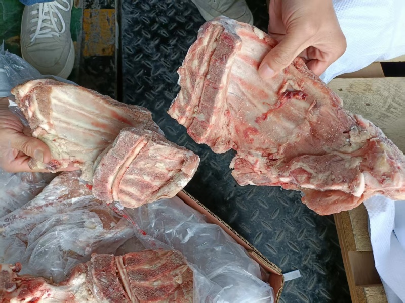 肥猪去颈前排