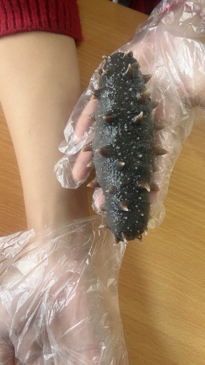 海参即食还是鲜食大连鲜食海参团购批发残参团社区