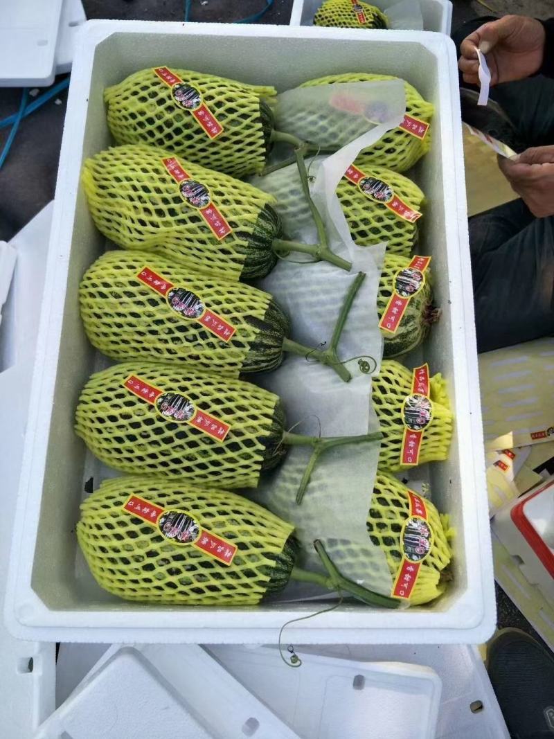 【精品甜瓜】博洋甜瓜包装精美，口感脆甜爽口山东产地直发