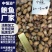 鲍鱼肉新鲜速冻200-300头小鲍鱼肉海鲜粽子材料批发