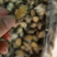 鲍鱼肉新鲜速冻200-300头小鲍鱼肉海鲜粽子材料批发