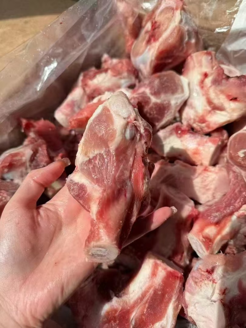前棒骨