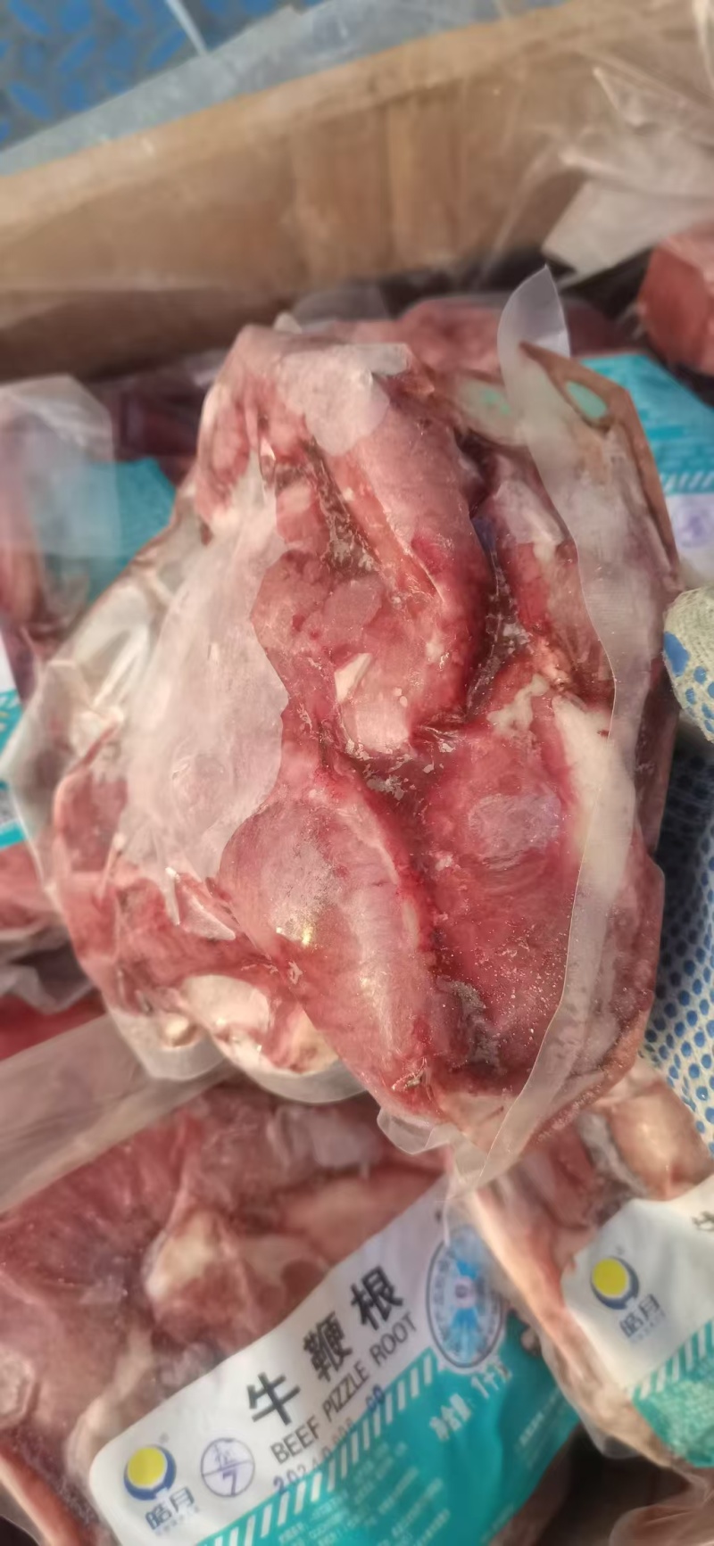牛鞭根，精修去油，熟食加工出秤率高，全国发货