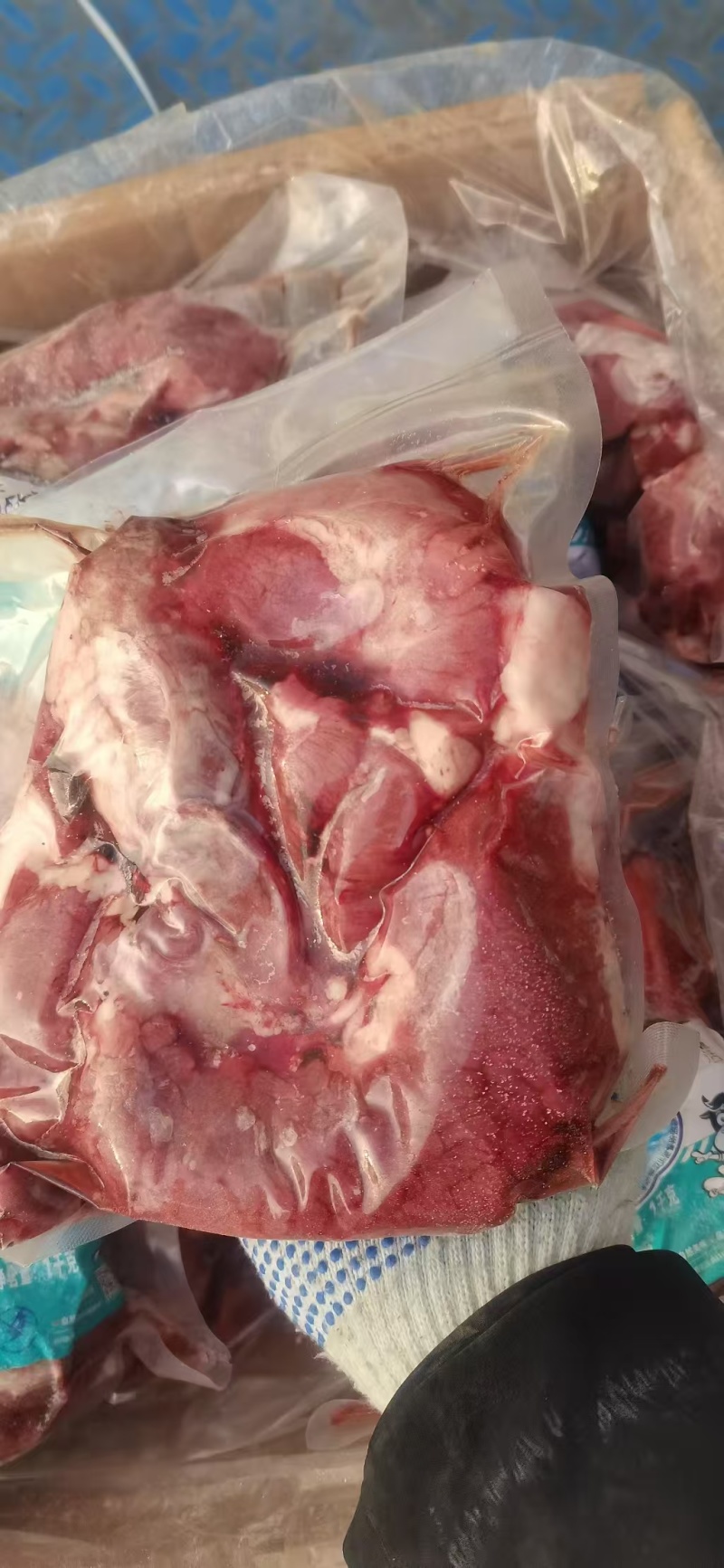牛鞭根，精修去油，熟食加工出秤率高，全国发货