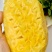 台湾金钻凤梨