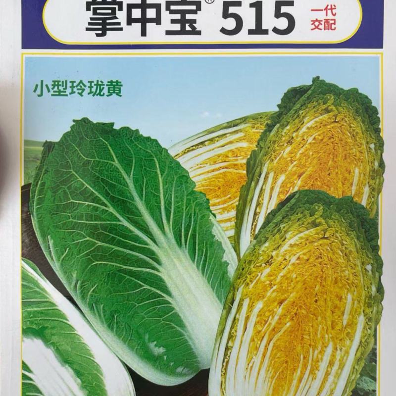玲珑黄515黄心娃娃菜种子早熟水分含量低囗感好商品性强