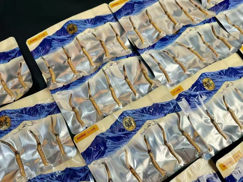 青海果洛冬虫夏草雪域圣品现采直发**野生滋养臻选