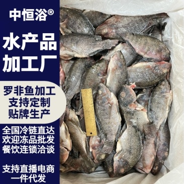 三去罗非鱼鲜活加工速冻保鲜罗非鱼餐饮水产冻品商用批发