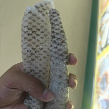 鱼皮（整皮分割）