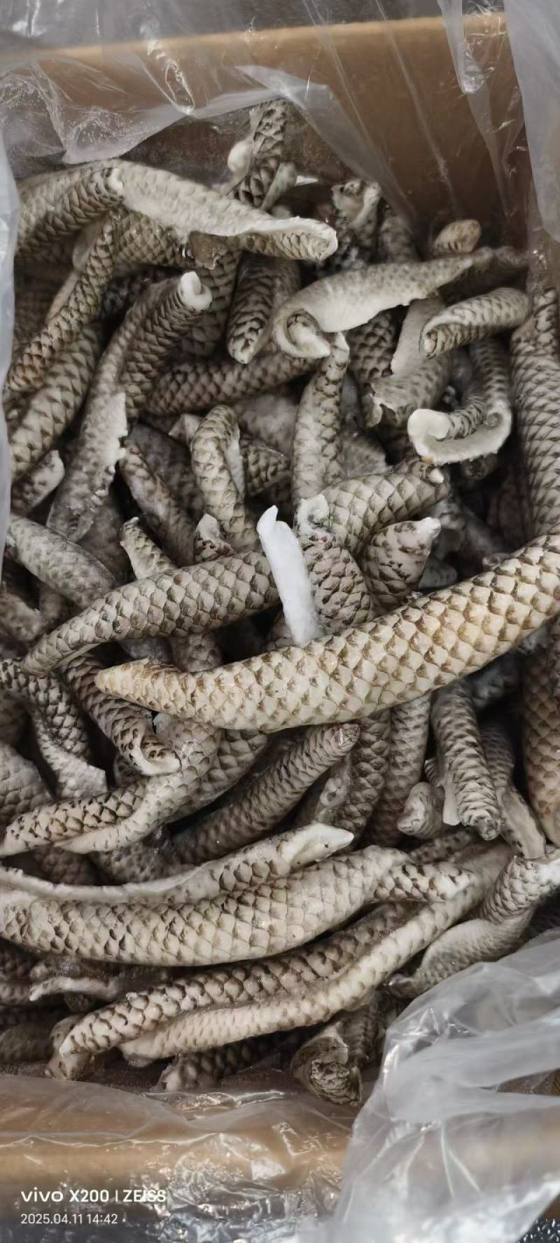 鱼皮（整皮分割）