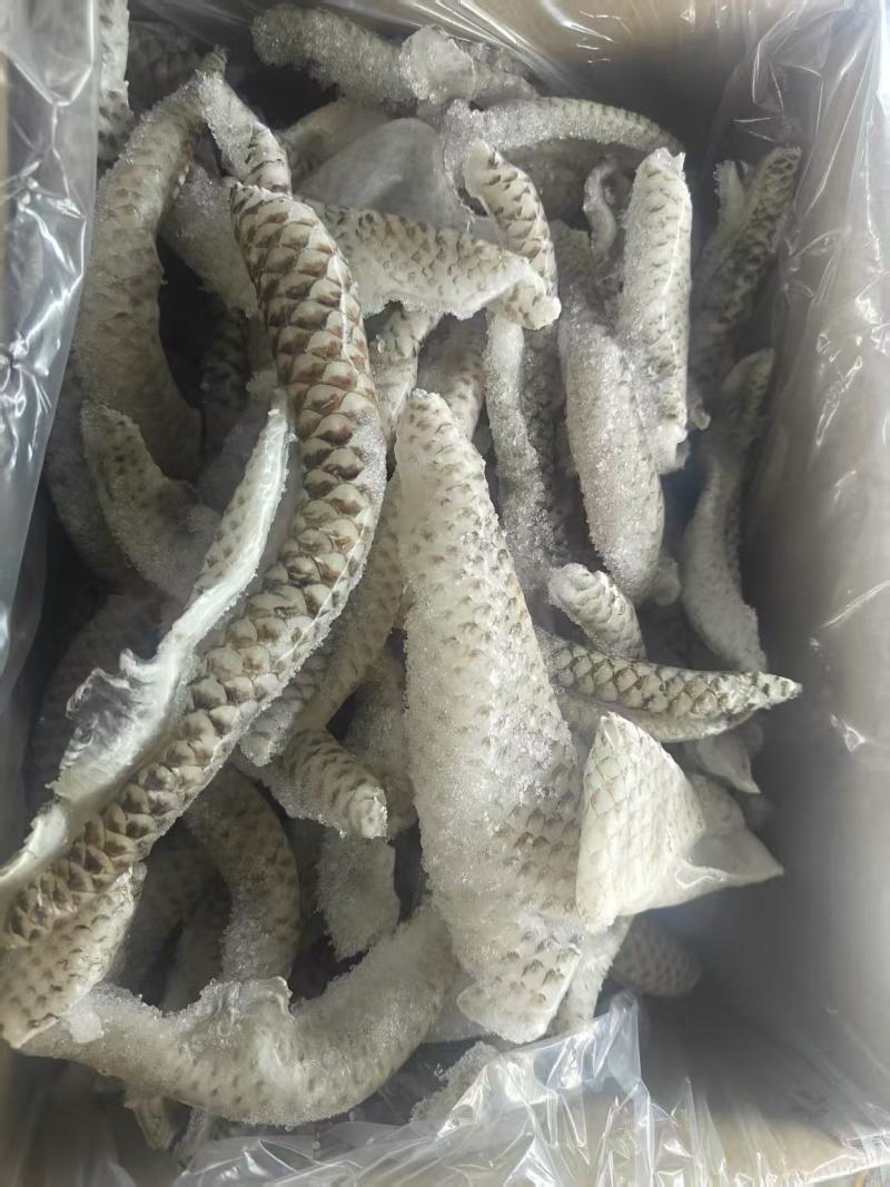 鱼皮（整皮分割）