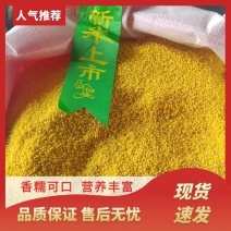 黄小米新小米发货全国市场，日期新品质优