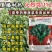 耐热菠菜种子火烈鸟夏播抗热高温油亮大叶抗病油亮菠菜蔬菜种