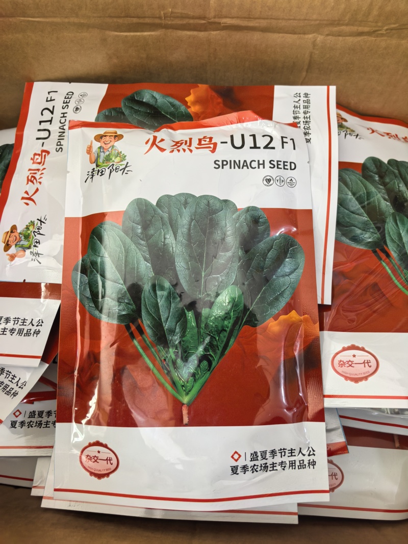 耐热菠菜种子火烈鸟夏播抗热高温油亮大叶抗病油亮菠菜蔬菜种