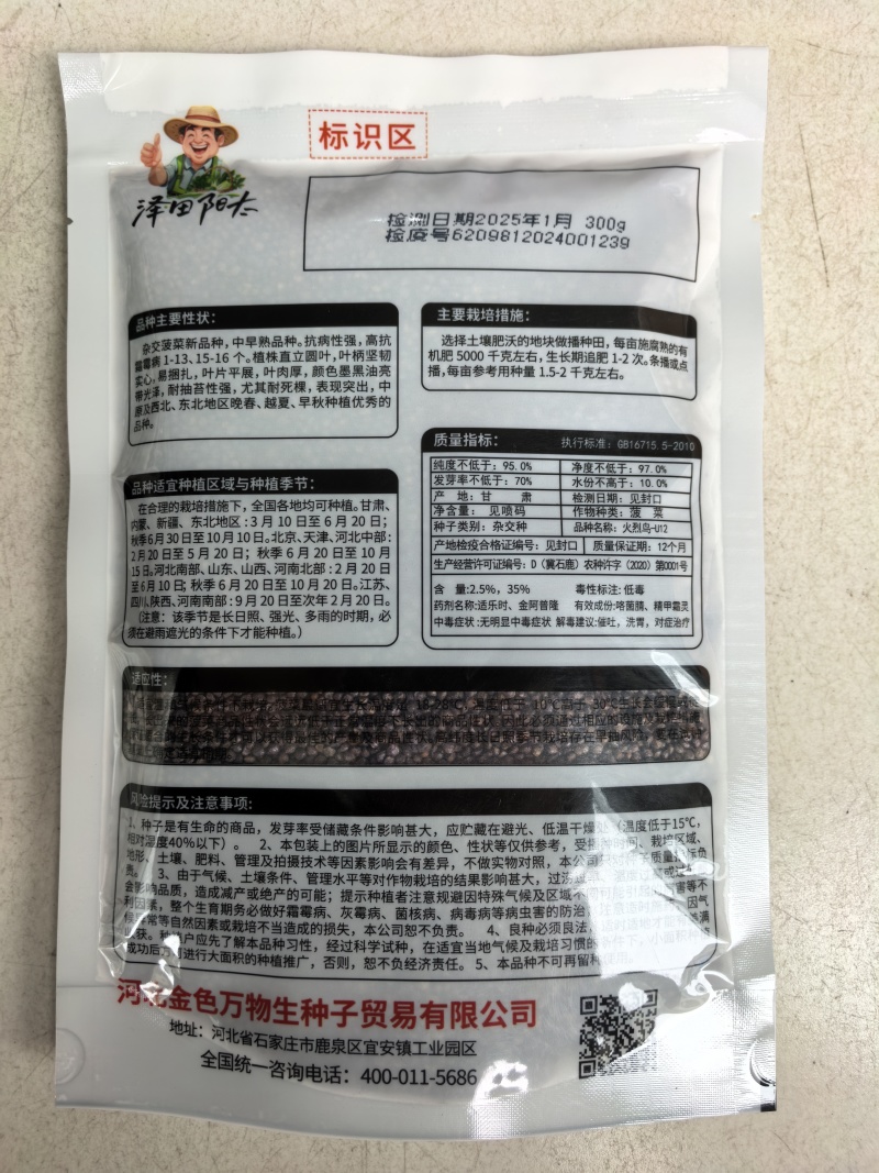 耐热菠菜种子火烈鸟夏播抗热高温油亮大叶抗病油亮菠菜蔬菜种