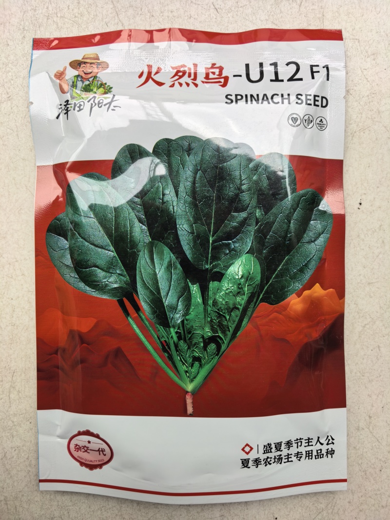 耐热菠菜种子火烈鸟夏播抗热高温油亮大叶抗病油亮菠菜蔬菜种
