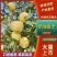 精品栖霞奶油富士货源充足脆甜，量大从优，致电联系