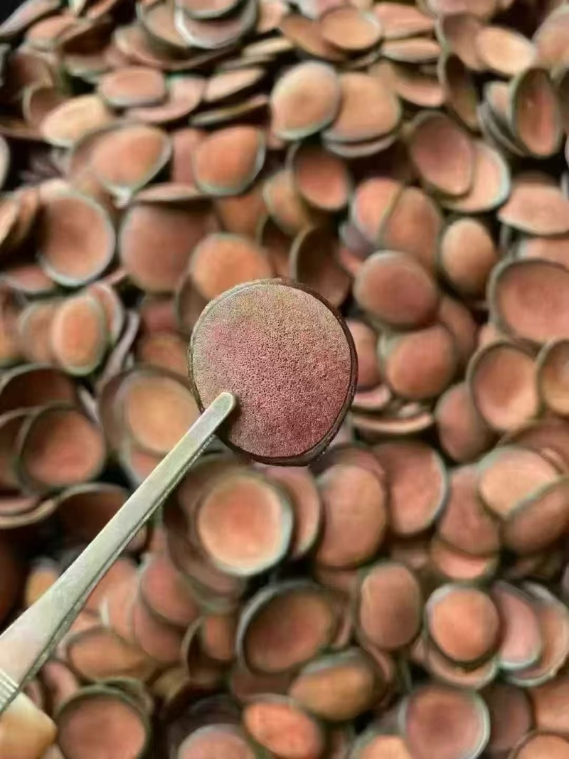 鹿茸红粉片大量有货正宗地道可视频看货