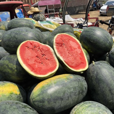 黑美人西瓜🍉口感甜、瓜型好、货源充足、欢迎来电