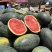 黑美人西瓜🍉口感甜、瓜型好、货源充足、欢迎来电