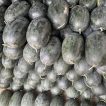 黑美人🍉瓜形好、口感甜、产地直销、代发全国