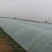 【实力推荐】陕西甜王西瓜大量上市/基地直发/对接商超市场