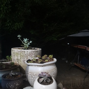 有260亩土地出租，电话：***********非诚勿扰