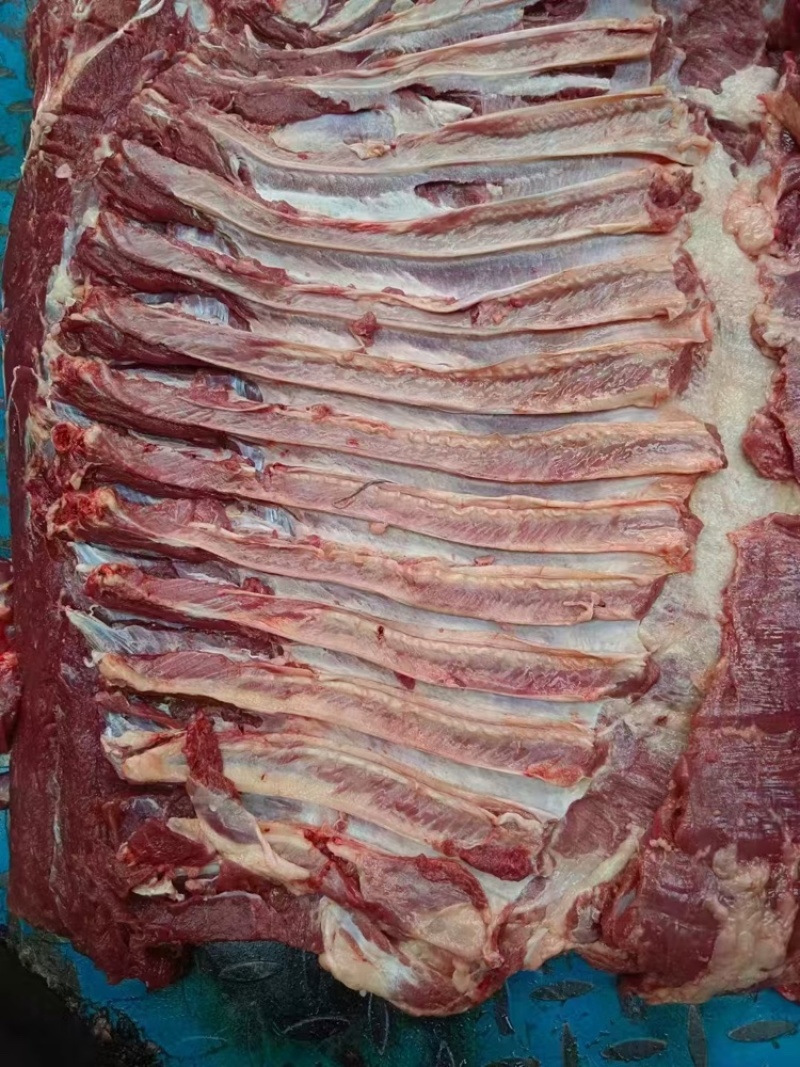 马肉，马肋条，马腿肉纯干货精修不肥，货源稳定，价格低