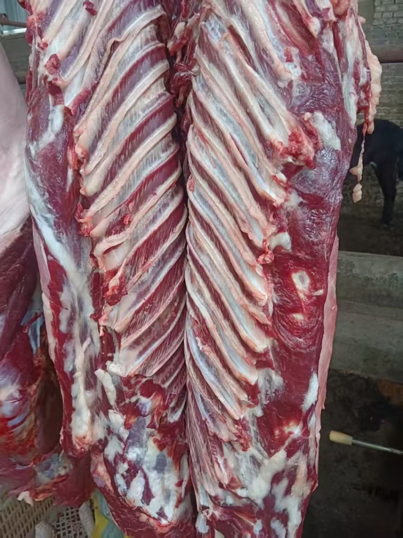 马肉，马肋条，马腿肉纯干货精修不肥，货源稳定，价格低