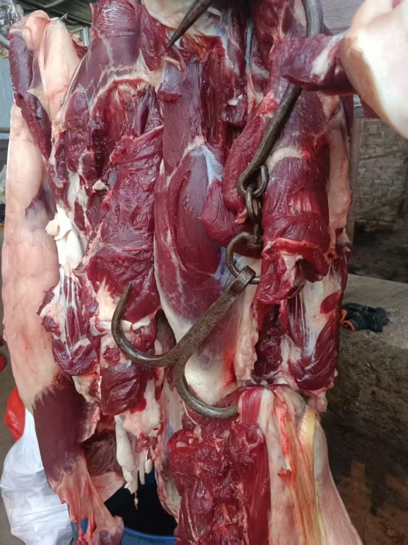 马肉，马肋条，马腿肉纯干货精修不肥，货源稳定，价格低