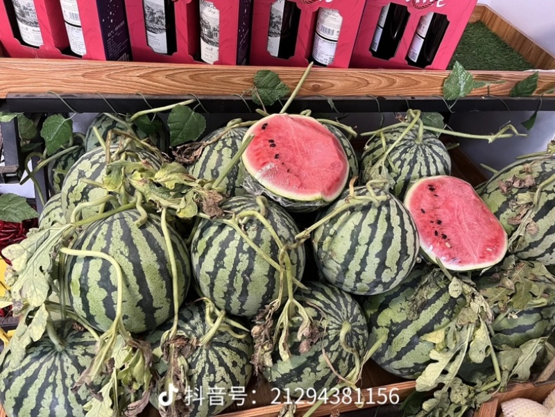 祥符产地直发美都西瓜，甜王脆甜多汁保质保量