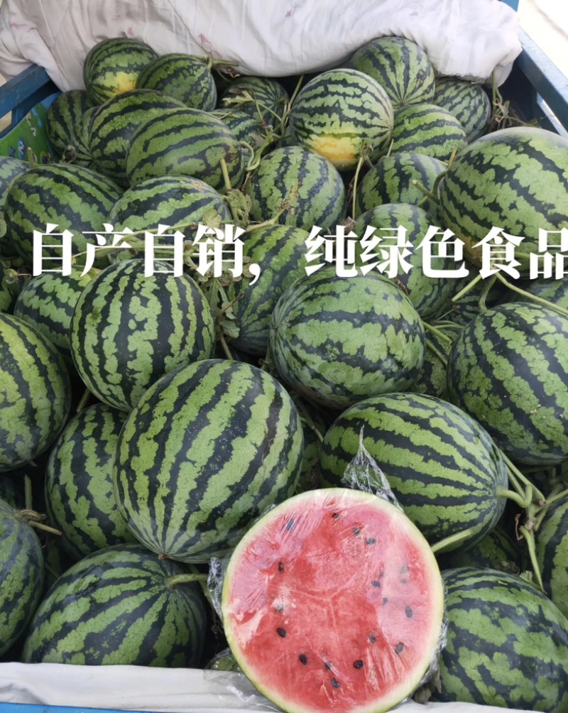 祥符产地直发美都西瓜，甜王脆甜多汁保质保量
