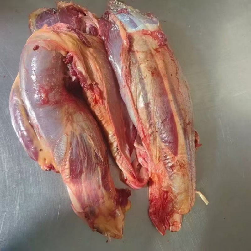 蒙古马健子肉，质量保证，货源稳定，价格合适