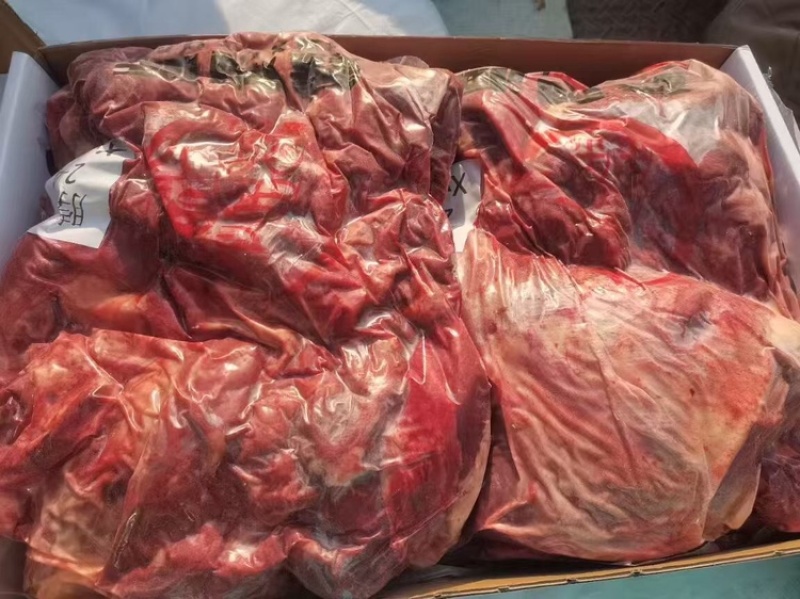 蒙古马肉（抄码五分体）（抄码四分体）发往全国量大从优