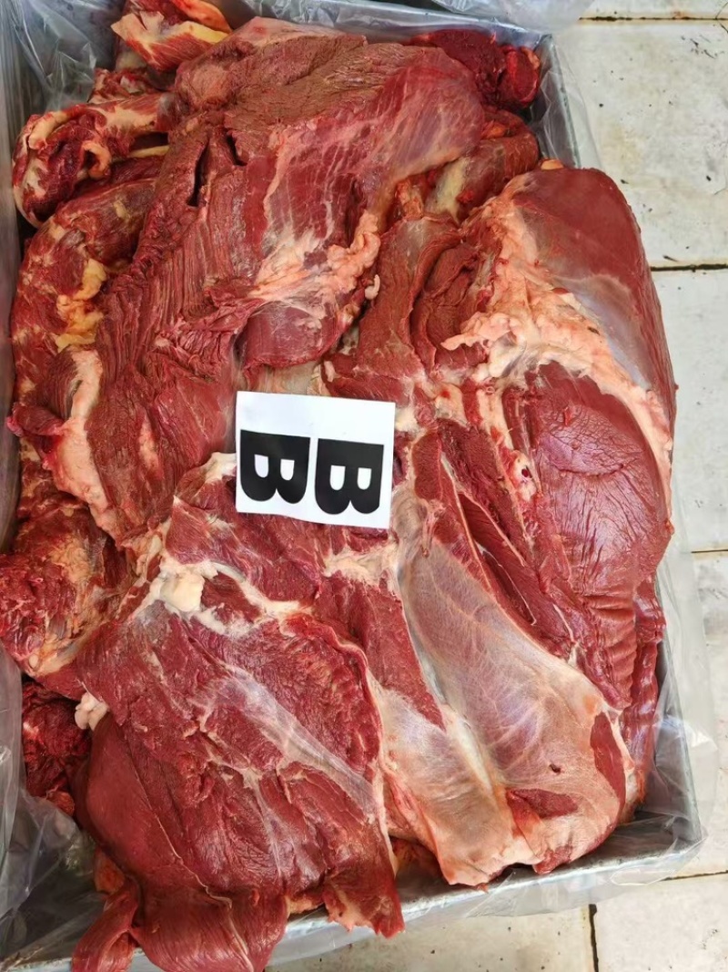 蒙古马肉（抄码五分体）（抄码四分体）发往全国量大从优