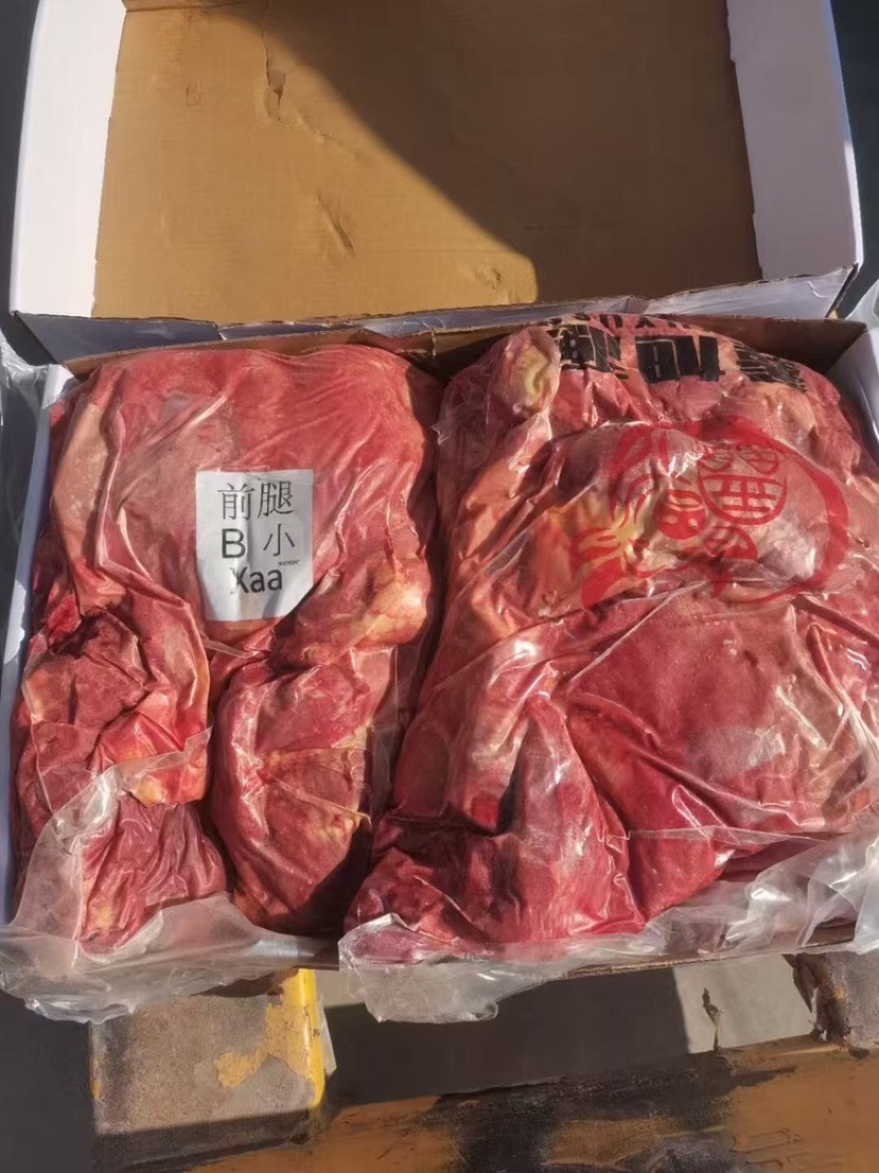 蒙古马肉（抄码五分体）（抄码四分体）发往全国量大从优