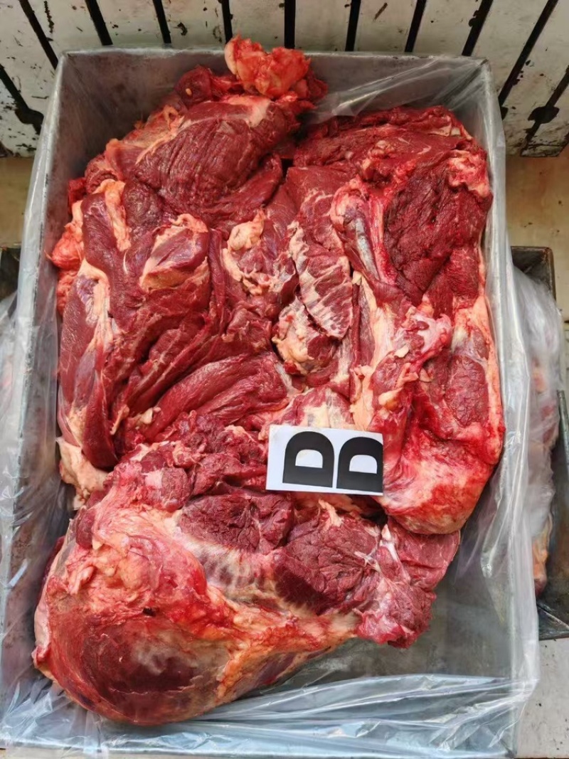 蒙古马肉（抄码五分体）（抄码四分体）发往全国量大从优