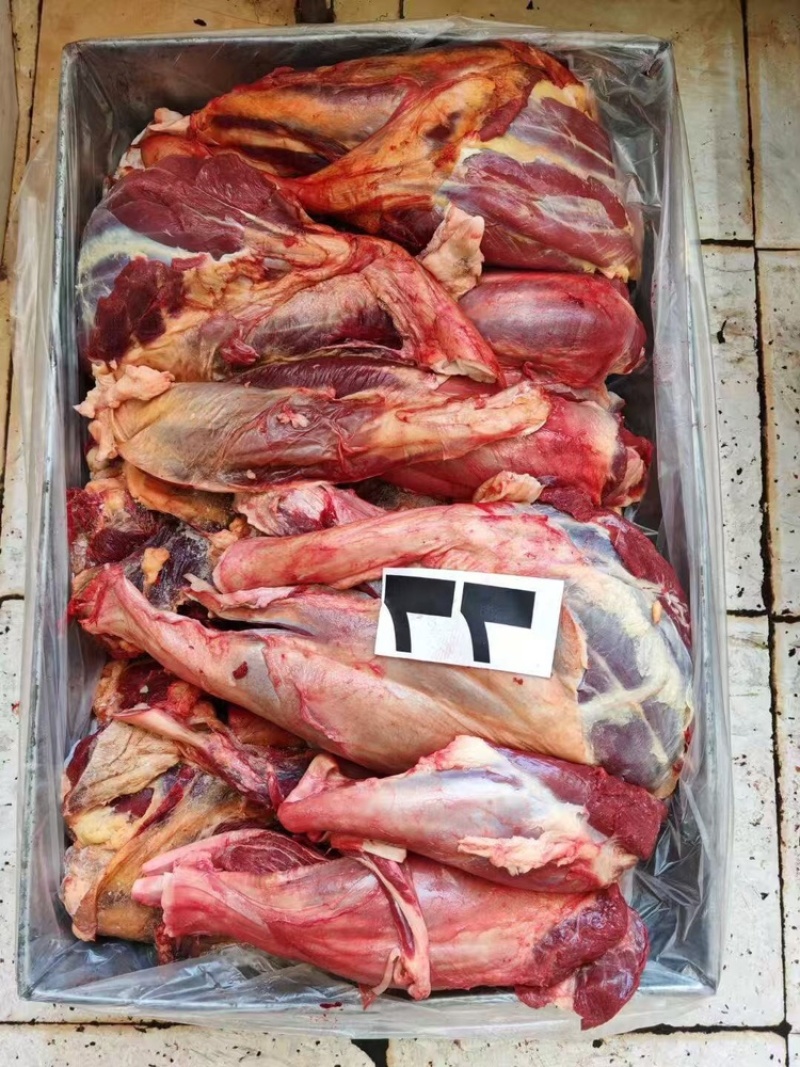 蒙古马肉（抄码五分体）（抄码四分体）发往全国量大从优