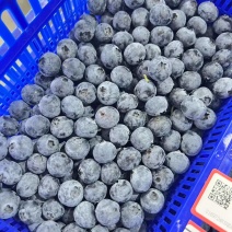 精品蓝莓F6