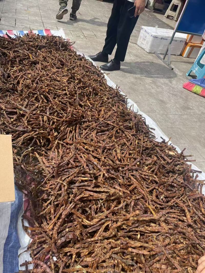 三月笋干笋
