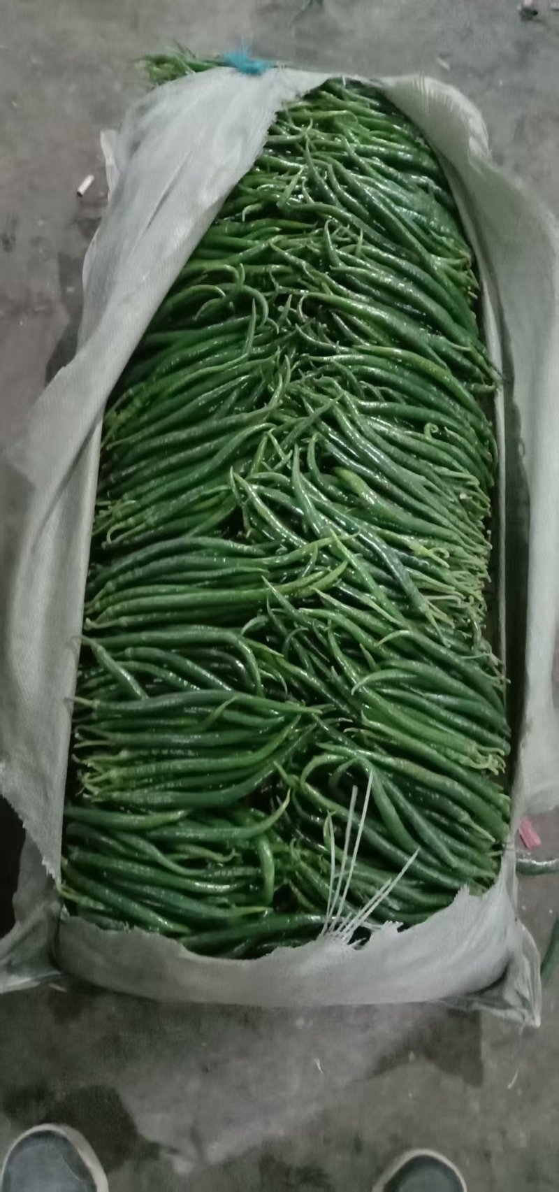 线椒/螺丝椒/尖椒/档口代卖/西部欣桥市场/代卖各种蔬菜