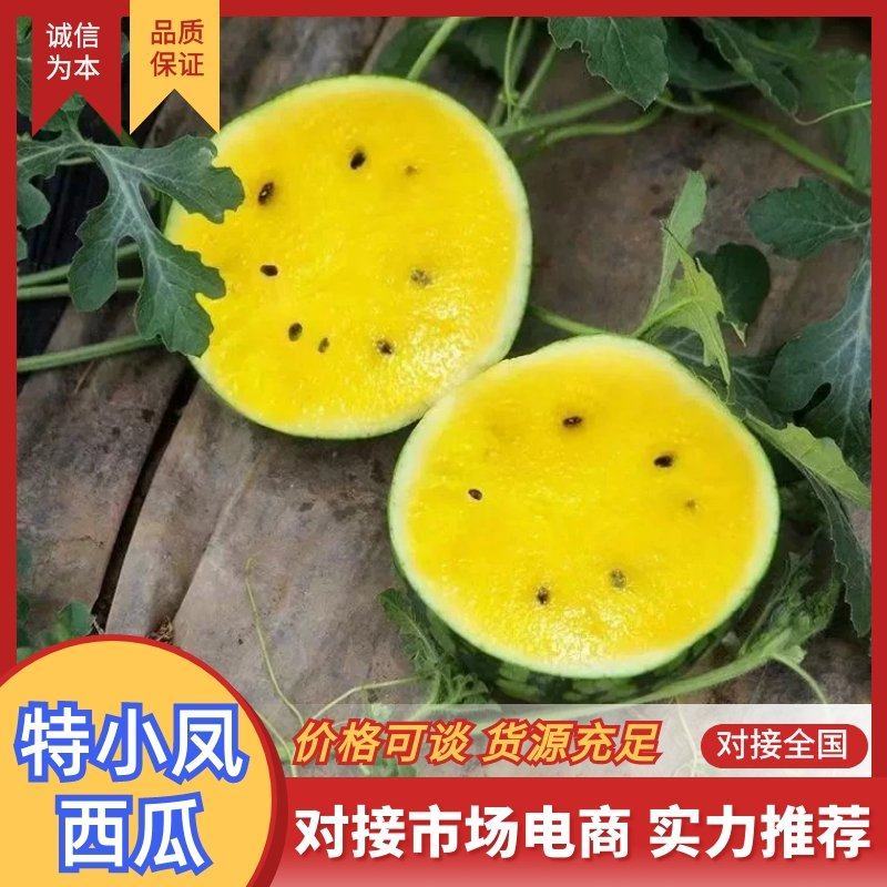 特小凤西瓜江苏西瓜盐城西瓜脆甜多汁对接全国市场等