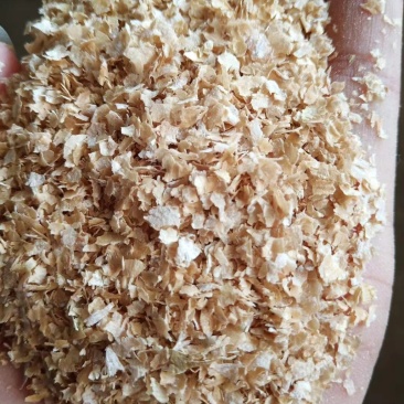 大片麸皮，厂家直供