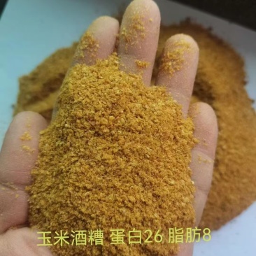 玉米酒糟DDGS蛋白26脂肪8