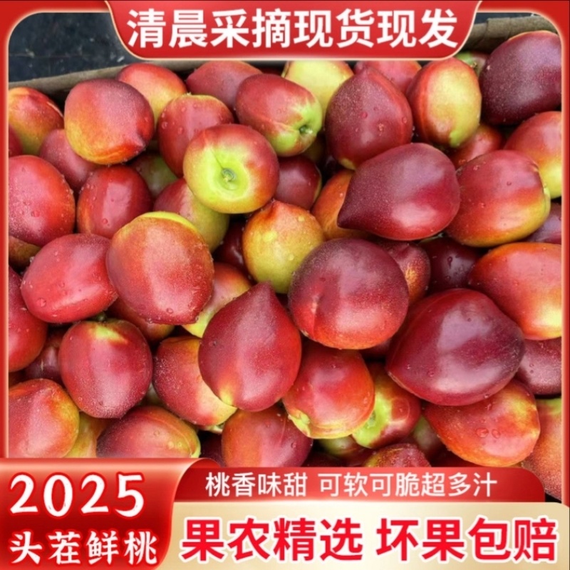 湖北油桃大量上市品种齐全欢迎来电咨询接受预定看货