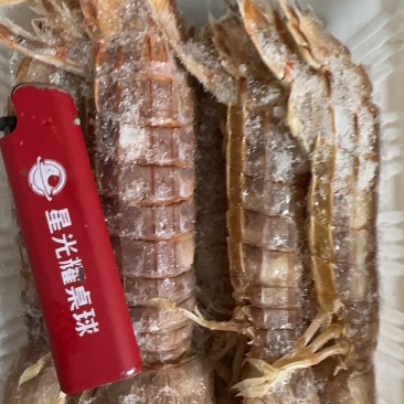 皮皮虾