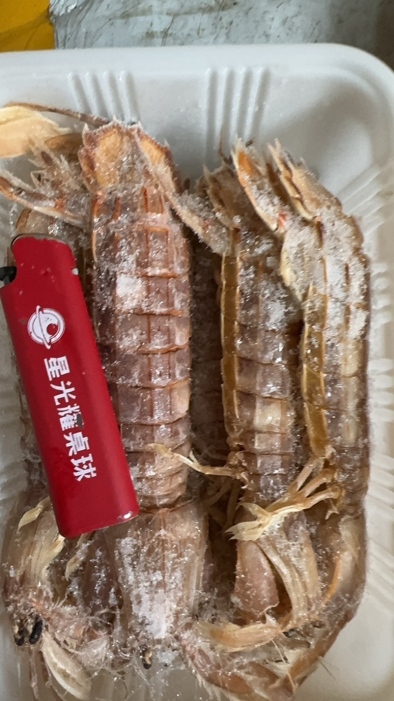 皮皮虾