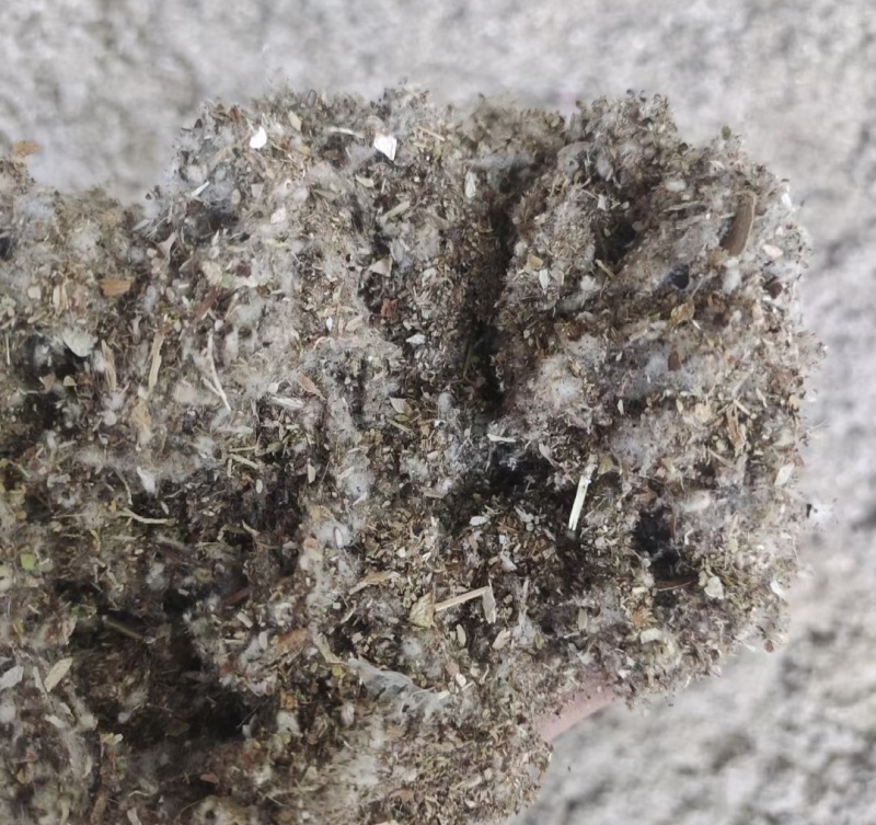 棉渣棉籽壳棉渣食用菌用发酵材料
