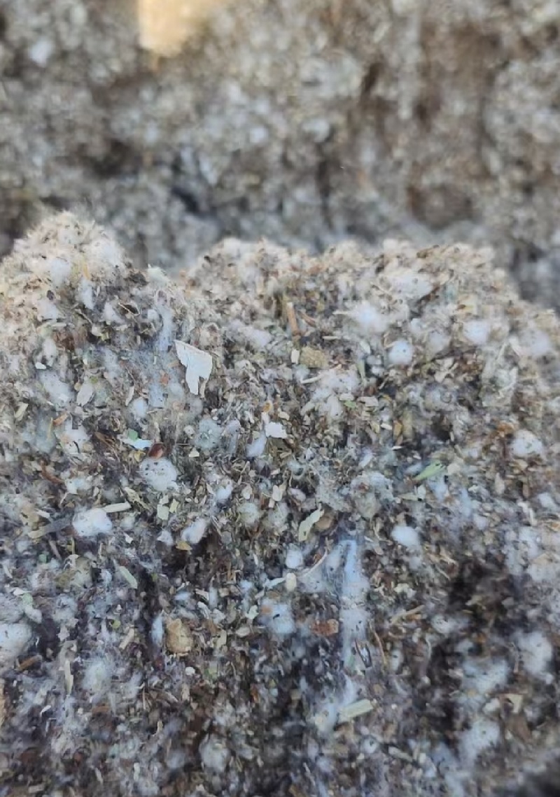 棉渣棉籽壳棉渣食用菌用发酵材料