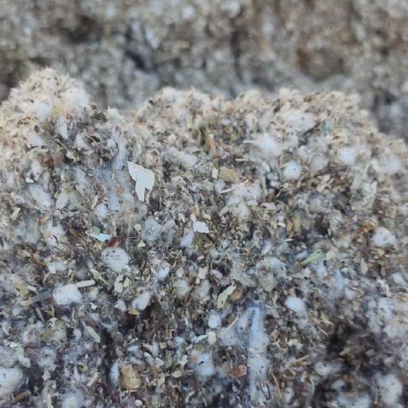 棉渣棉籽壳棉渣食用菌用发酵材料